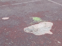 Баскетбольная площадка школы № 36