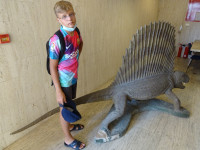 Повелитель динозавров (в частности, Dimetrodon grandis) старший, правда, не в дикой природе, а в айя-напском музее (μουσείο Αγίας Νάπας) «Море» (Θάλασσα).