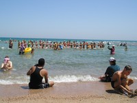 Красное море, пляж гостиничного комплекса Golden 5 City. В водной аэробике участвуют, в основном, немусульманские туристы, точнее, туристки, а мусульманки больше смотрят (нельзя участвовать?) и снимают (зачем?).