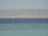 Расцветить серость египетской суши Красным морем (اَلْبَحرْ الأحمر‎).