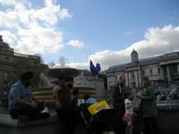 Лондон (London), Трафальгарская площадь (Trafálgar Square). При сплошь классической архитектуре синий петух на заднем плане смотрится странно. 🤔