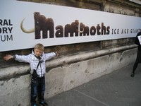 Лондон (London), Музей естествознания (the Natural History Museum). Реклама будущей выставки мамонтов (mammoths) с удивительной стилизацией названия. 😊