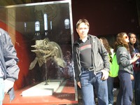 Лондон (London), Музей естествознания (the Natural History Museum). Немножко древняя «рыбка», с которой не хотелось бы встречаться.