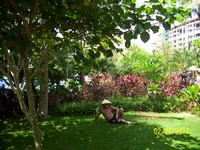 Гостинично-жилой комплекс Aloha Oceanfront Suite Resort (阿罗哈爱琴海景套房度假酒店). Псевдокитаец в природной красоте, созданной настоящими китайцами.