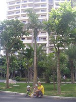 Гостинично-жилой комплекс Aloha Oceanfront Suite Resort. Мужчины устали ждать 😊 автобус в соседний город (бесплатный, от гостиницы).