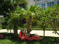 Гостинично-жилой комплекс Aloha Oceanfront Suite Resort. Ну не я смог придать своему телу форму лежака в точности!.. 😊