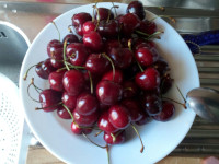 Эту вкусную черешню нам, конечно, не в столовой нашей гостиницы подали, но мы легко её купили по гуманной цене в одном из соседних магазинчиков. 😋