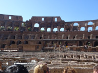 С другой стороны арены Колизея (Colosseus) через «окна» его ярусов видны сообразно высоченные деревья соседнего парка.