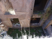 Кажется, это остатки дворца Нерона (Domus Aurea) на Палатине (Mons Pălātīnus), очевидно, ниже сильно ниже текущего уровня земли вследствие наслоения культурных слоёв.