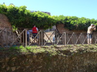 То, что некоторые древнеримские развалины на Римском форуме (Forum Romanum) заросли зеленью – это не только красиво, но и приятно – спрятаться от палящего солнца в тень зелени.