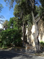 Лестница с бульвара Габриеле д'Аннунцио (Viale Gabriele d'Annunzio) наверх, в сады виллы Боргезе (Villa Borghese, XVII – XX века).