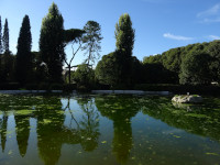 Зелёная вилла Боргезе (Villa Borghese). Когда не до конца понятно, то ли отражаемое зелено, то ли «зеркало» зелёное.