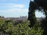 Вид с одной из смотровых площадок виллы Боргезе (Villa Borghese) на Рим вообще и Витториано в частности. Внизу у парапета растёт дикая хурма (Diōspyros).
