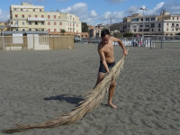 Пальмовый дворник пляжа в городке Лидо ди Остия (Lido di Ostia).