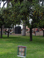 Судя по (неразборчивым) картинкам на указателе, в Апельсиновом саду (Giardino degli Aranci) много чего нельзя… но лежащие на земле апельсины так же соблазнительны, как райское яблоко для Адама… 😇