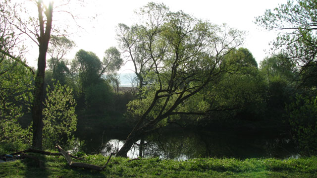 Река Нара
