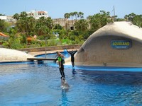 Коста Адехе (Costa Adeje), аквапарк AquaLand, дельфинарий. Представление включало в себя выбор ребёнка из числа зрителей и несколько удивительных номеров с ним.