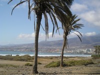 Плая-де-лас-Америкас (Playa de las Américas). Побережье курорта с видом на западный берег острова Тенерифе, как раз смотрящий на обе Америки (las Américas).
