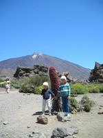Национальный парк Тейде (Parque nacional del Teide). Та же красная «морковка» для фотографии с детьми нашлась не остроконечная, а скруглённая.