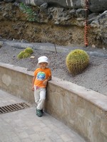 Сантьяго-дель-Тейде (Santiago del Teide), улица Гиос (Calle los Guíos). Сева не колючий, как кактус, Сева добрый. 😊