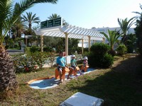 Территория гостиницы Selima Club. Три мушкетёра. 😊