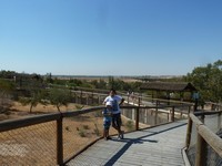 Зоопарк Friguia Park. Казалось, что иные животные, особенно из числа крупных кошачьих, вполне могли бы допрыгнуть до мостков и взобраться на них – крыши-то у них нет.