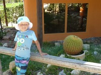 Зоопарк Friguia Park. Кактус-шар у кафе.