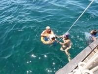 Территориальные воды Туниса. Спасение сиганувшей за борт собаки.