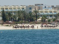 Территориальные воды Туниса. Вид с моря на антитеррористический караван “Sousse Is Still Alive”.