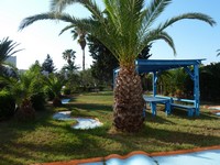 Территория гостиницы Selima Club. Вид с балкона номер (первый этаж).