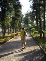 Вот такие там зелёные аллеи на территории гостиницы (площадь её, надо заметить, довольно больша́я). Это я иду утром первого полного дня по направлению к административному корпусу.