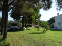 Идеальное автопутешествие – это когда на автодоме – к морю и вот такому кемпингу у него.