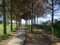 Лесная дорожка к морю – это прямо удовольствие 2-в-1. 😍 И вполне себе «свет в конце туннеля», если вы задолбались, а «туннель» – это ваша работа или даже жизнь в целом.