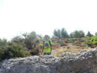 Кто-то зелёный спрятался в зелёных горах Манавгата (Manavgat). 😍