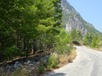 Горная дорога в долине реки Манавгат (Manavgat).