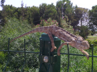 «Понаставили тут заборов… так, что приличным хамелеонам пройти негде!..» 🧐 Предпоследний шаг.