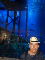 Ну прямо Адриано Челентано 😊 на фоне гигантского аквариума в торговом центре Dubai Mall.