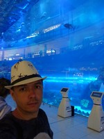В огромной стеклянной стене аквариума Dubai Mall отражаются этажи торгового центра, а внутри плавают рыбы.