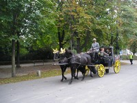 Вена, парк Пратер. Тут фиакр смотрится органичней, чем в городе среди зданий, да ещё с таким возницей в котелке!..