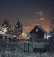 Dachas in Snow